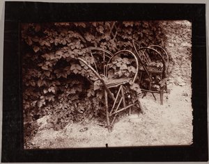 Houblon - Eugène Atget