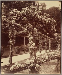 [Jardin de Bagatelle] - Eugène Atget