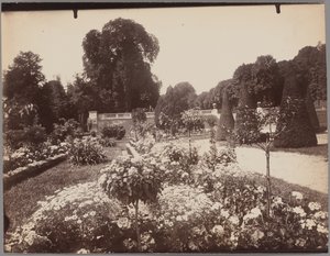 Saint-Cloud - Eugène Atget