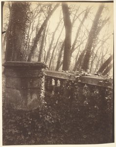 Saint-Cloud Park, Paris - Eugène Atget