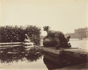 Versailles, Fontaine du Point du Jour, Tigre terrassant un ours par Houzeau, 1903 - Eugène Atget