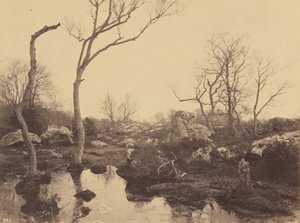 Belle Croix - Eugène Cuvelier