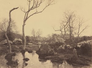 Belle Croix,c. 1858 (photo) - Eugène Cuvelier