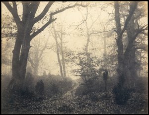 Fontainebleau. Forêt de Barbizon - Eugène Cuvelier