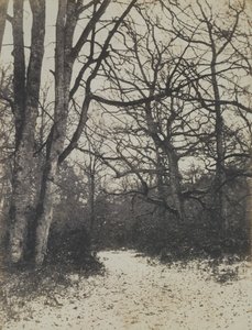 Forêt de Fontainebleau - Eugène Cuvelier