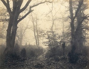 Forêt de Fontainebleau, début des années 1860 - Eugène Cuvelier