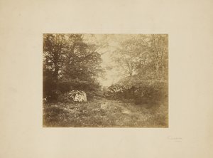 [Étude de paysage] - Eugène Cuvelier