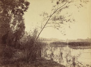 Marais de Fampoux - Eugène Cuvelier