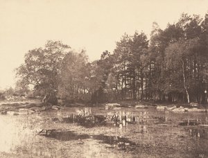 Marais à Piat (Plateau de Belle-Croix)