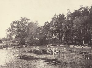Marais au Plateau de Piat Belle-Croix, vers 1863 - Eugène Cuvelier
