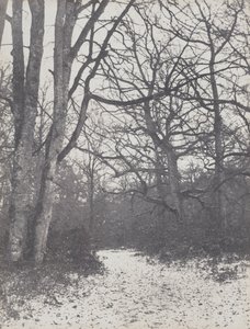Route dans la forêt - Eugène Cuvelier