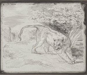 Un Tigre Piégé - Eugène Delacroix