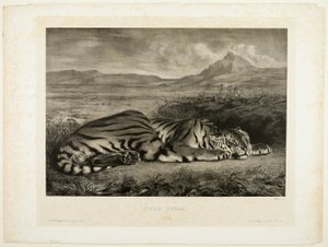 Tigre du Bengale - Eugène Delacroix