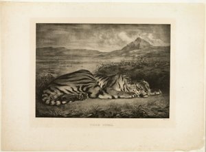 Tigre du Bengale - Eugène Delacroix