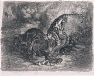 Cheval sauvage terrassé par un tigre - Ferdinand Victor Eugene Delacroix
