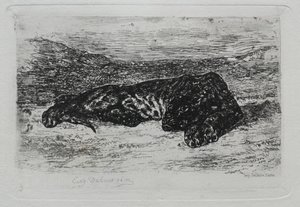 Tigre accroupi dans le désert