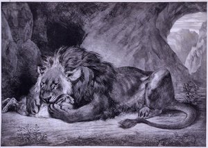 Lion de l