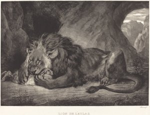 Lion de l