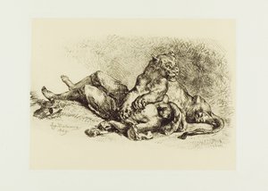 Lionne Déchirant la Poitrine d