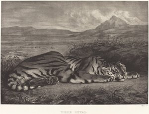 Tigre royal - Eugène Delacroix