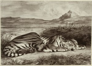 Tigre royal - Eugène Delacroix