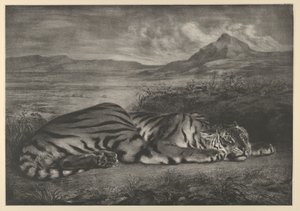 Tigre royal, 1829 - Eugène Delacroix