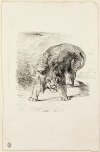 Lion debout - Eugène Delacroix