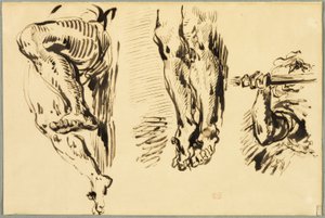 Étude des bras et des jambes du Christ crucifié - Eugène Delacroix