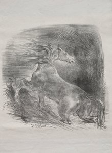 Le cheval sauvage, ou cheval effrayé quittant l