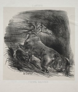 Le Cheval sauvage, ou Cheval effrayé quittant l