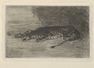 Tigre couché à l