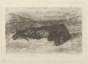 Tigre couché dans le désert, 1846