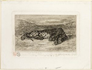 Tigre se reposant dans le désert