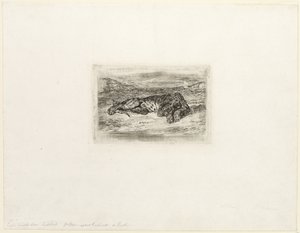 Tigre se reposant dans le désert - Eugène Delacroix