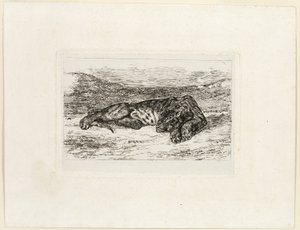 Tigre se Reposant dans le Désert