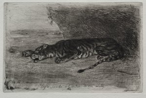 Tigre dormant à l