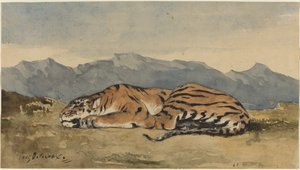 Tigre, vers 1830 - Eugène Delacroix