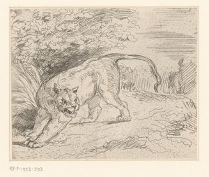 Tigre - Eugène Delacroix