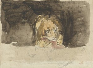 Lion carnivore, vu de face, se détachant sur un fond sombre - Eugène Delacroix