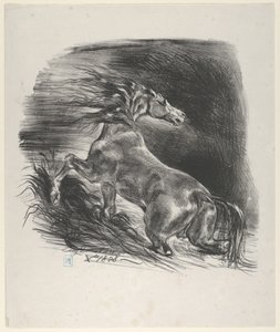 Cheval sauvage, 1828 - Eugène Delacroix