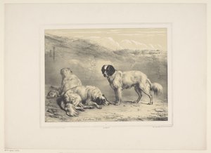 Trois chiens