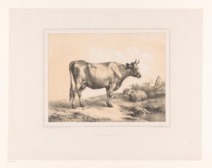 Vache et mouton dans un paysage