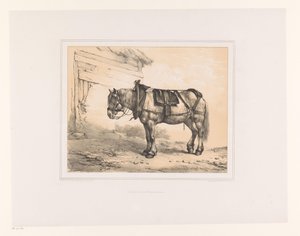 Cheval avec selle et licou (Études d