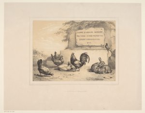 Titre avec poules, lapins et une colombe