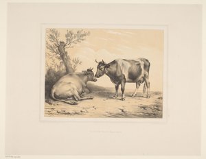 Deux vaches - Eugène Verboeckhoven
