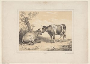 Deux vaches - Eugène Verboeckhoven