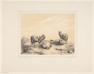 Quatre moutons - Eugène Verboeckhoven