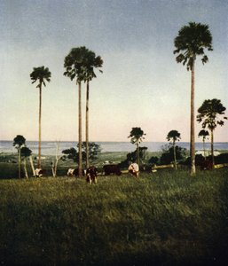 Australie, Illawarra - European Photographer