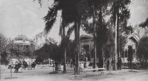 Brésil : San Paolo, Jardim da Luz (photo n/b) - European Photographer