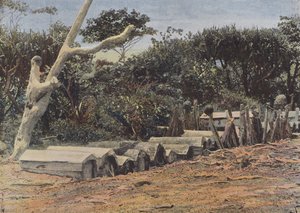 Cimetière Hova - European Photographer